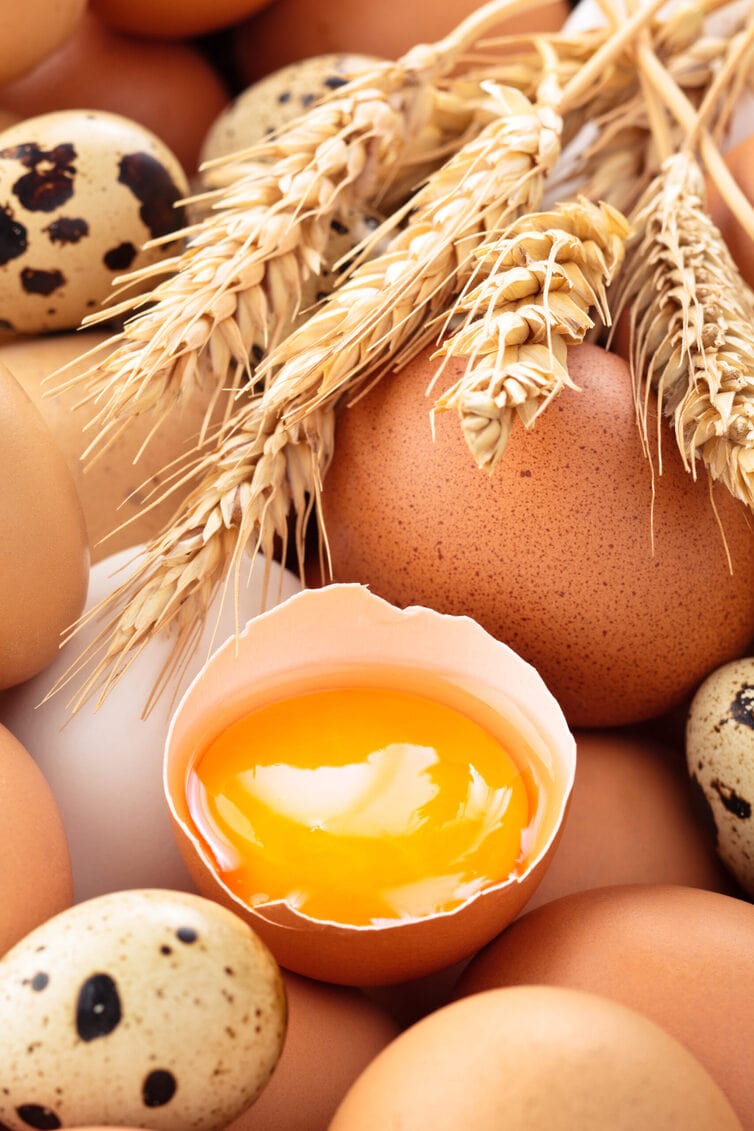 Fresh eggs, and wheat in a close up angle.